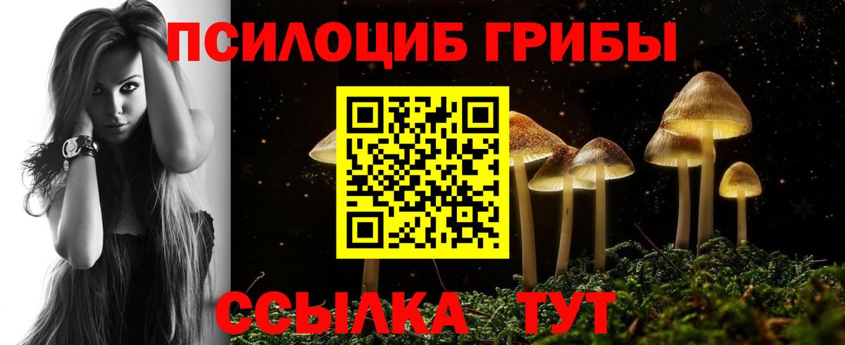 Галлюциногенные грибы прущие грибы Мурманск